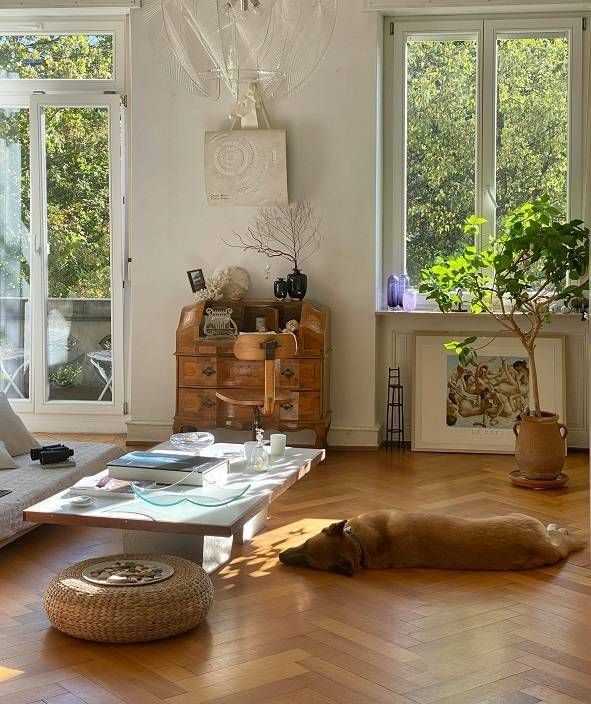 La tua casa ti ricarica o ti svuota? Il legame invisibile tra ambiente e benessere Livia Casali Abitare Consapevole Foto articolo
