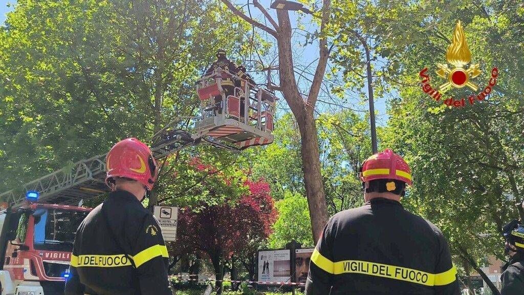 Milano sferzata dal vento: raffiche a 80 km/h e alberi abbattuti – VIDEO MIlano vento vigili del fuoco