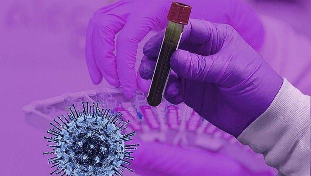 L’hantavirus delle Ande hantavirus ande