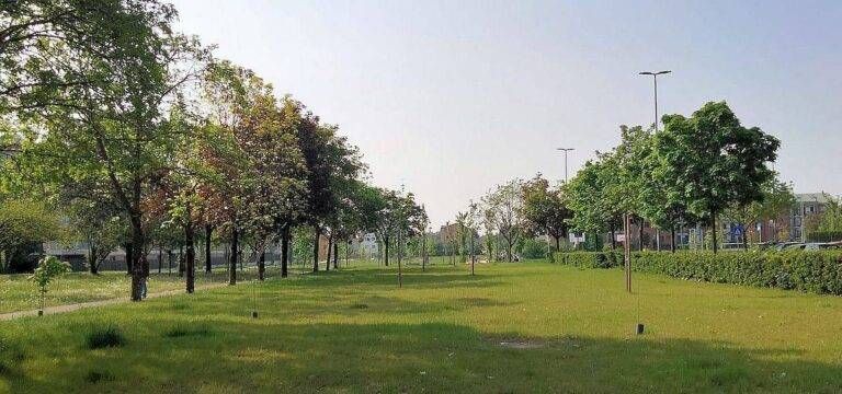 Cormano, simulazioni della Protezione civile al Parco della Balossa e al quartiere Fornasè anche di notte Comano Balossa esercitazione