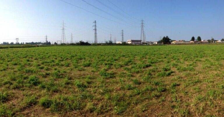 Turate, blackout dopo il maltempo: tre guasti sulla rete elettrica, Enel al lavoro per il ripristino Turate maltempo guasti