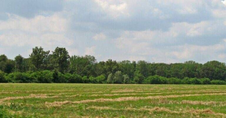 Origgio, il 12 giugno l’inaugurazione della nuova porta del Parco dei Mughetti: evento con famiglie e attività per bambini Origgio inaugurazione parco