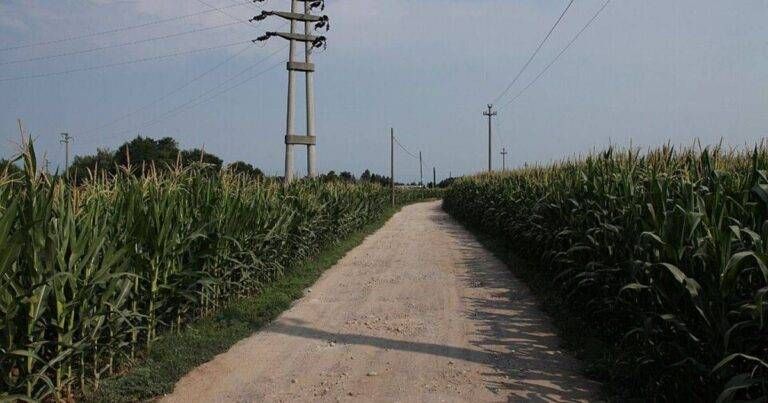 Saronno segnalazioni puzza