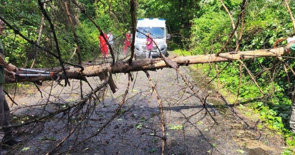 Maltempo nelle Groane: volontari della Protezione Civile rimuovono alberi caduti e mettono in sicurezza le strade Maltempo Groane