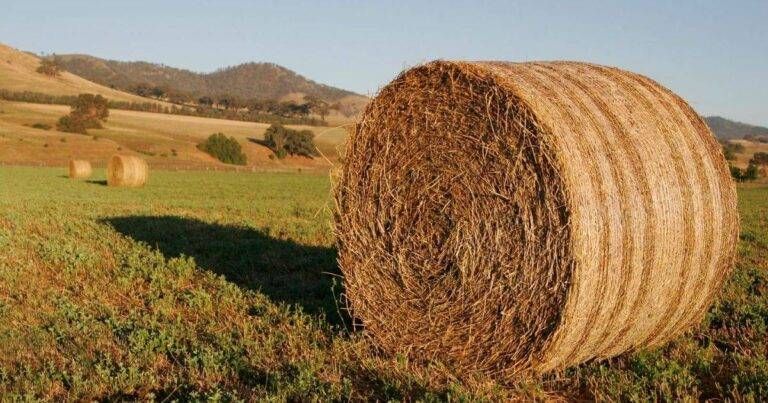 Uboldo, la Festa del Fieno rinviata al 7 giugno per maltempo Uboldo Festa Fieno