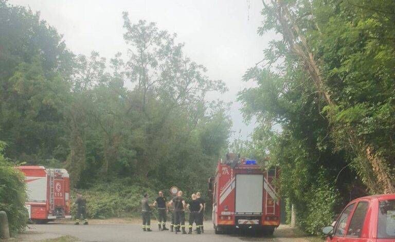 Incendio nel bosco a Solaro, fumo e puzza di bruciato a Limbiate e Cesate Solaro incendio Cesate
