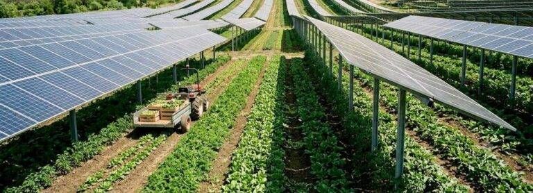Solaro dichiara guerra al progetto di agrivoltaico nella zona agricola sud al confine con Cesate e Caronno agrivoltaico