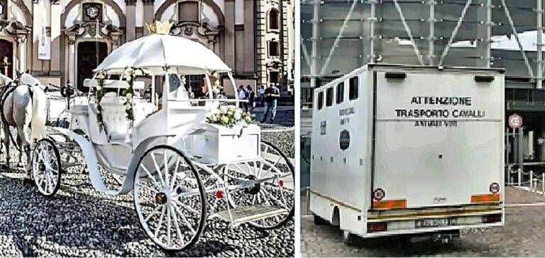 Rubata di notte la carrozza di Cenerentola carrozza cenerentola