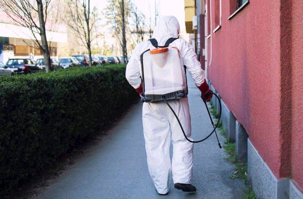 Solaro, disinfestazione straordinaria zanzare per sospetta infezione da Zika Disinfestazione Zanzare Zika Solaro