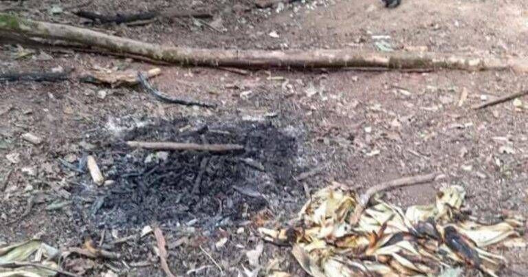 Gerenzano, falò nel bosco di San Giacomo: il Parco dei Mughetti richiama al divieto di accendere fuochi Gerenzano falò