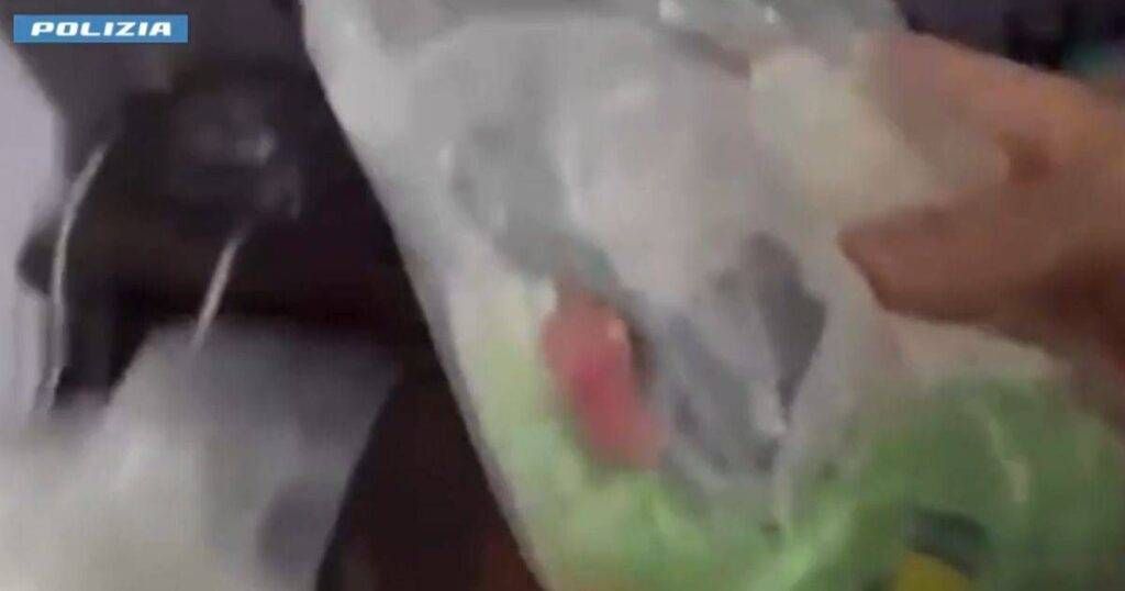Milano, nasconde oltre 100 grammi di cocaina dietro un altarino: arrestato 29enne Milano cocaina arrestato