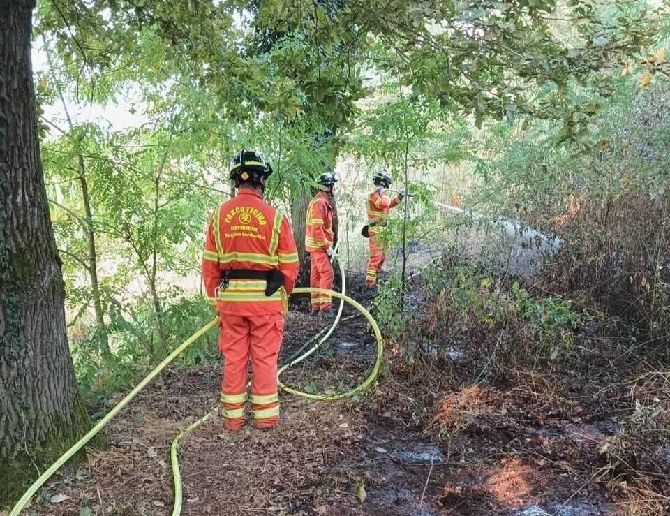 Parco del Ticino, ancora una settimana di fuoco: numerosi incendi e volontari AIB impegnati senza sosta 778543581 1600817572087979 4611958478862254518 n 1
