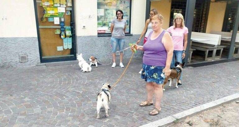 Bollate, un assembramento di cani in attesa di… Bollate assembramento cani attesa