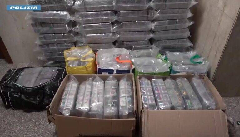 Monza, maxi sequestro di hashish: 520 chili in un magazzino, tre arresti WhatsApp Image 2026 09 11 at 14.13.50 768x439