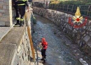 Mariano Comense cane nel canale