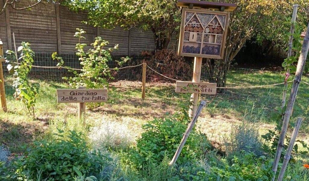 Paderno Dugnano, la scuola per l’ambiente: al via la formazione docenti nell’Aula Natura dell’«Allende» Paderno Dugnano scuola ambiente