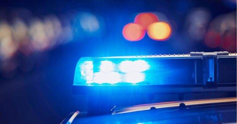 Rogoredo San Donato controlli