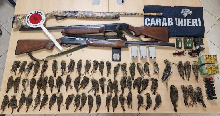 Caccia di frodo nel Parco: cinque denunciati, sequestrate armi e uccelli abbattuti illecitamente Caccia frodo carabinieri1 768x406