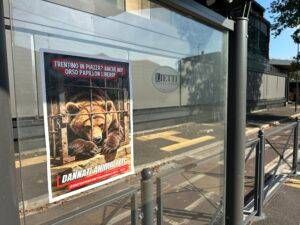Saronno blitz animalista