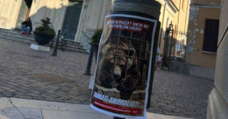 Saronno, blitz animalista contro “Trentino in piazza” per l’orso Papillon Saronno blitz animalista