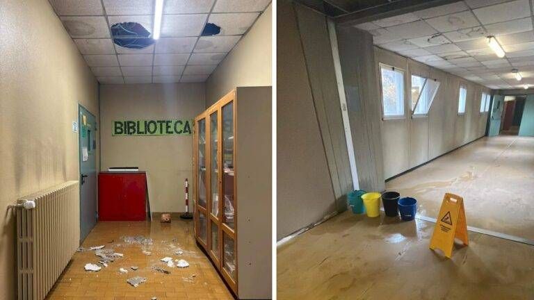 primo levi biblioteca