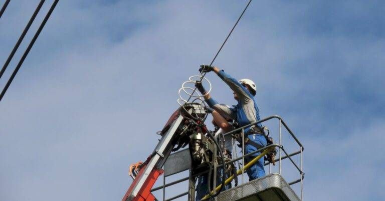 Dissuasori per uccelli sui cavi della linea elettrica, per evitare schianti, ecco come funzionano terna dissuasori uccelli