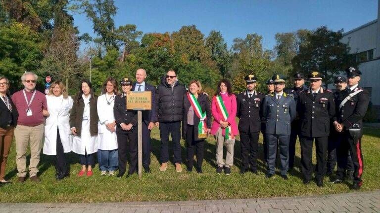 Garbagnate, un ciliegio nel cortile dell’ospedale: iniziativa “Un albero per la salute” garbagnate albero