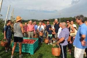 mele ceriano laghetto