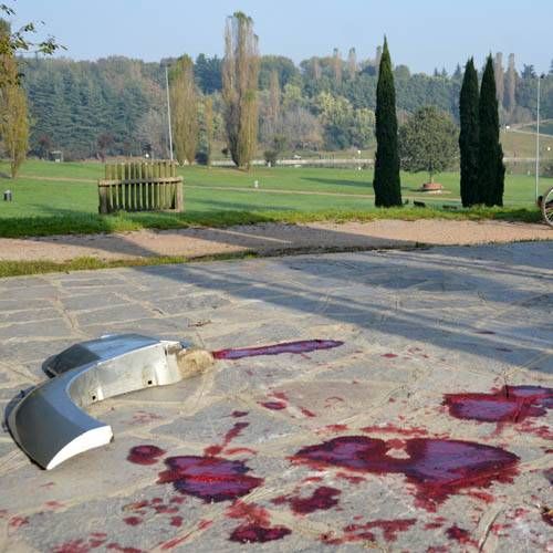 Paderno, dal parco al ‘Brianza’ Doppia spaccata, magro bottino spaccata carrefour