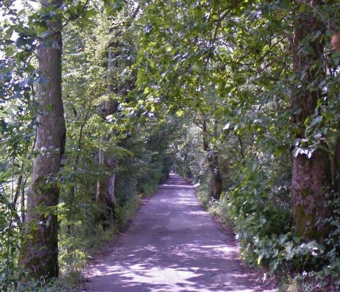 Via Diana chiude due giorni: difficile raggiungere Castellazzo diana