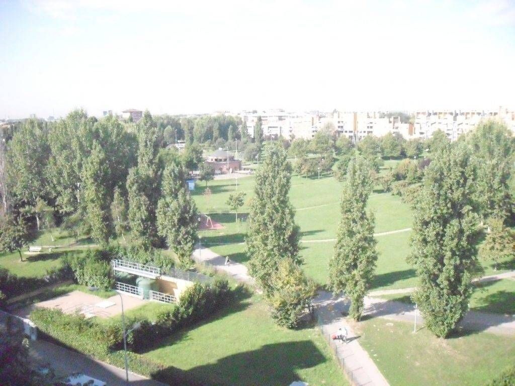 parco centrale nuova 1024x768