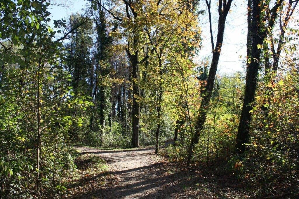 12715975 1040418472683886 3802897543368995685 o 1024x682