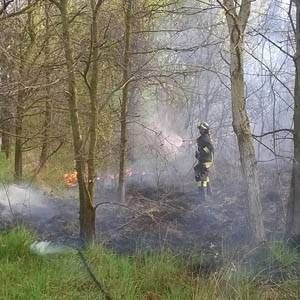 incendio_parco