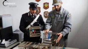 carabinieri_garbagnate
