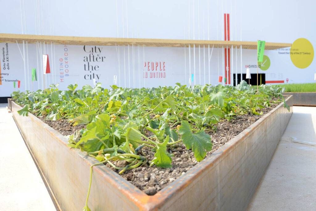 city after the city 1024x683