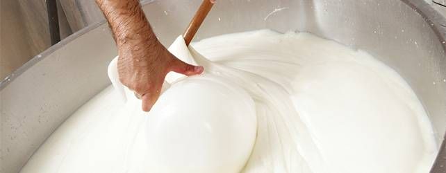 Mozzarella di bufala… con bufala mozzarellatruffa