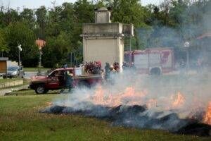 13709914 1076210865793370 7276950148921538397 n 300x200