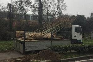 15541091 1402574933115807 6725002057554122583 o 300x200