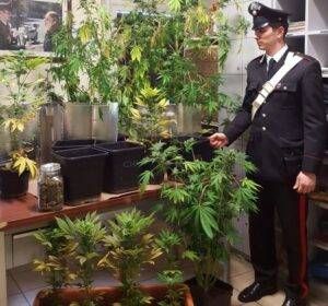 IMG 20170206 WA0033 300x280