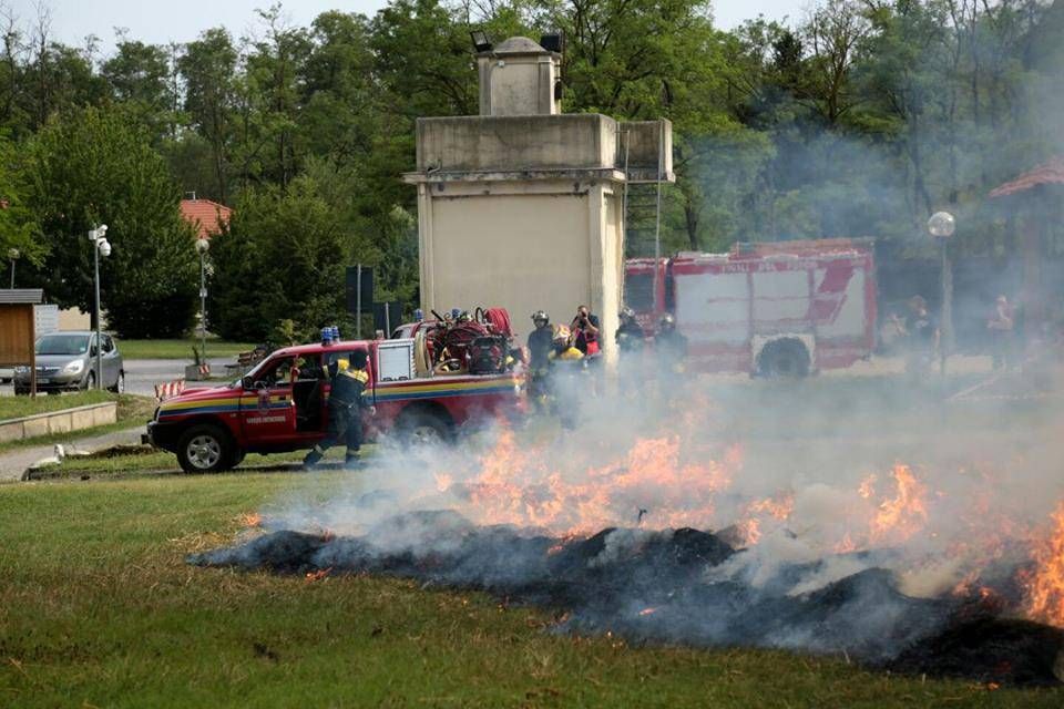 Ceriano, brucia (ancora) il parco delle Groane: Vigili del Fuoco in azione 13709914 1076210865793370 7276950148921538397 n