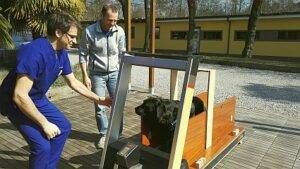 1703CogWellnessDogWEB 300x169