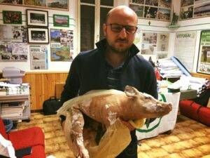 17884486 10212906853174947 9005509228289704452 n 300x225