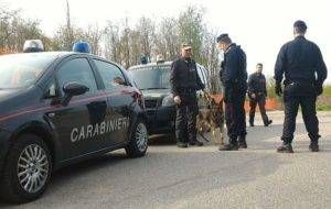 DrogaCaniTurate2 300x190