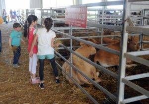 newpress6105 300x210