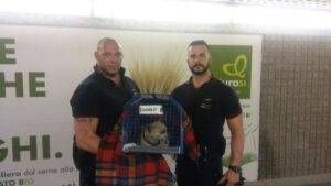 114151155 2f7e8347 e100 4bff 9841 6d66b6507a06 300x169