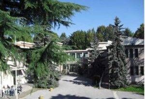 0906LimPacle 300x206