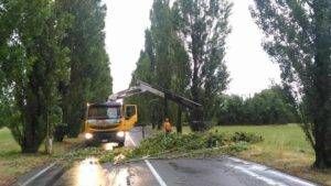 19420427 1378732648830624 8460288589644877922 n 300x169