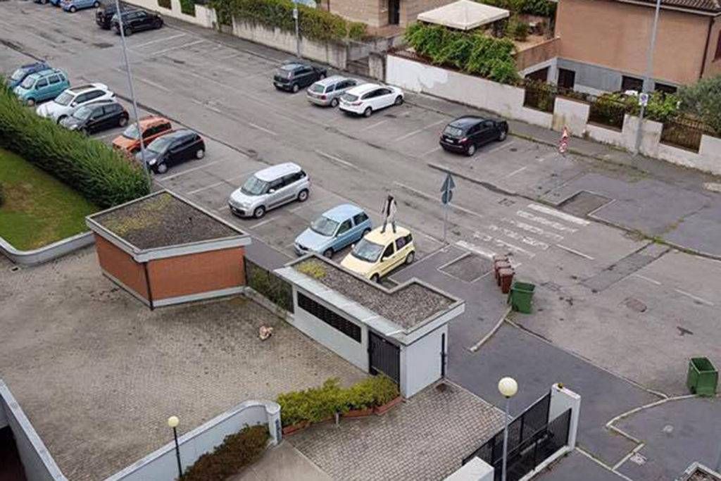 Follia a Bollate, salta su due auto e le danneggia: arrestato bollate 1024x683