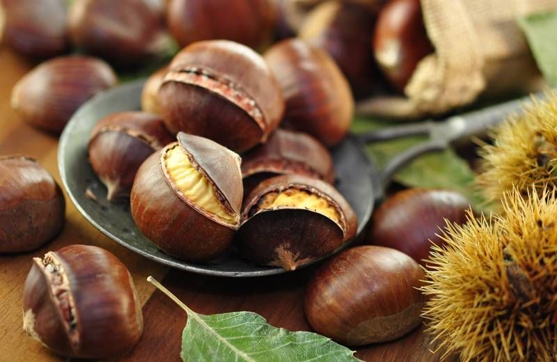 Sagra della castagna festival Chestnut Lazio Roma castagne