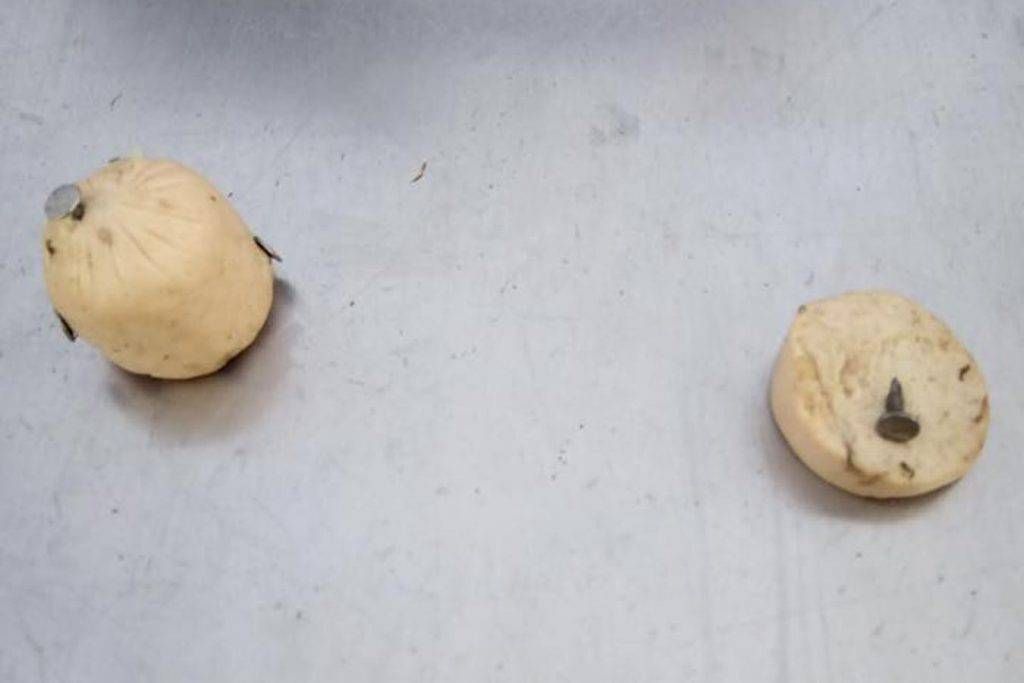 Bocconcini con viti dentro, paura al parco di Bollate bollate bocconcini 1024x683